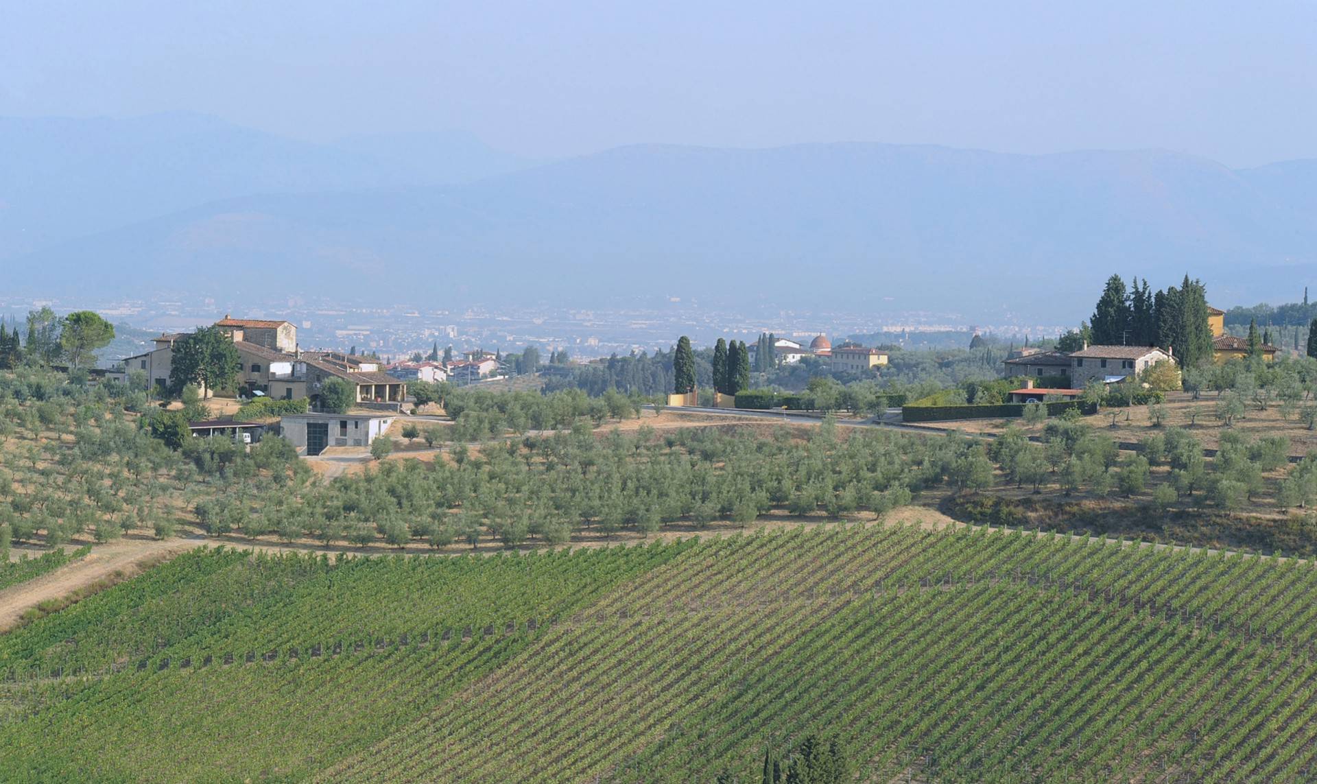 Agricola la Querce